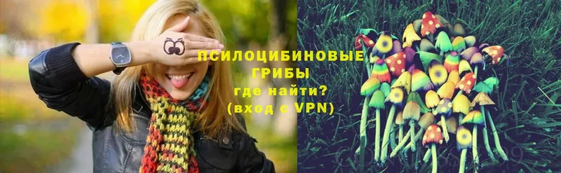 Псилоцибиновые грибы Cubensis  даркнет формула  Кинель 